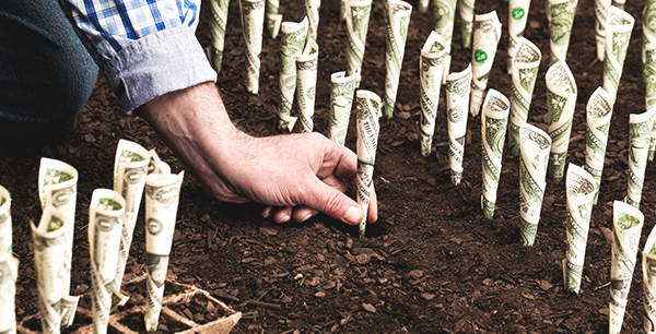 Farmer planting money